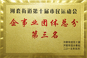 河套街道第十屆市民運(yùn)動(dòng)會企事業(yè)組團(tuán)體總分第三名